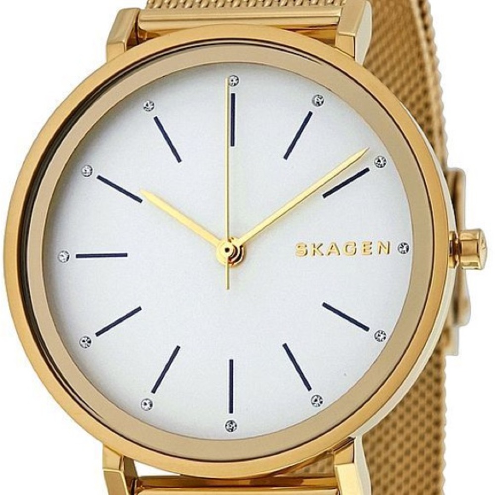 Women's Skagen Hald Gold Tone Mesh Band Watch SKW2509